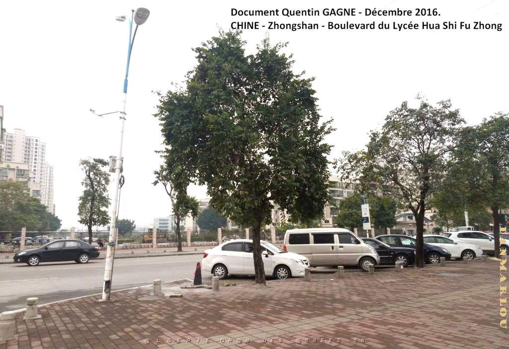 Zhongshan 005- Quartier.jpg